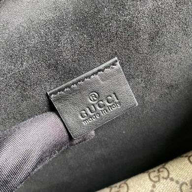 BG499623 25x14x8 (33)