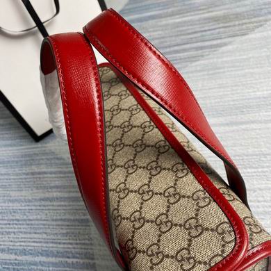 BG627323 27.5X17.5X11 (21)