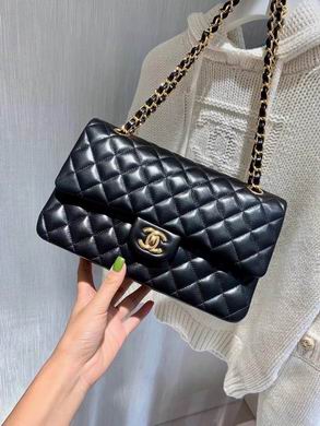 BTcf 1112 25.5X14X7 (29)