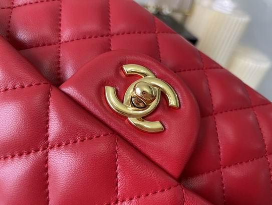 CF01112 25.5 cm AL28 (4)