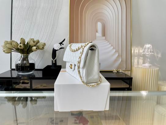 CF01112 25.5 cm AL31 (2)