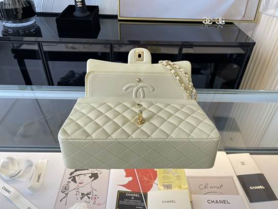 CF01112 25.5 cm AL33 (7)