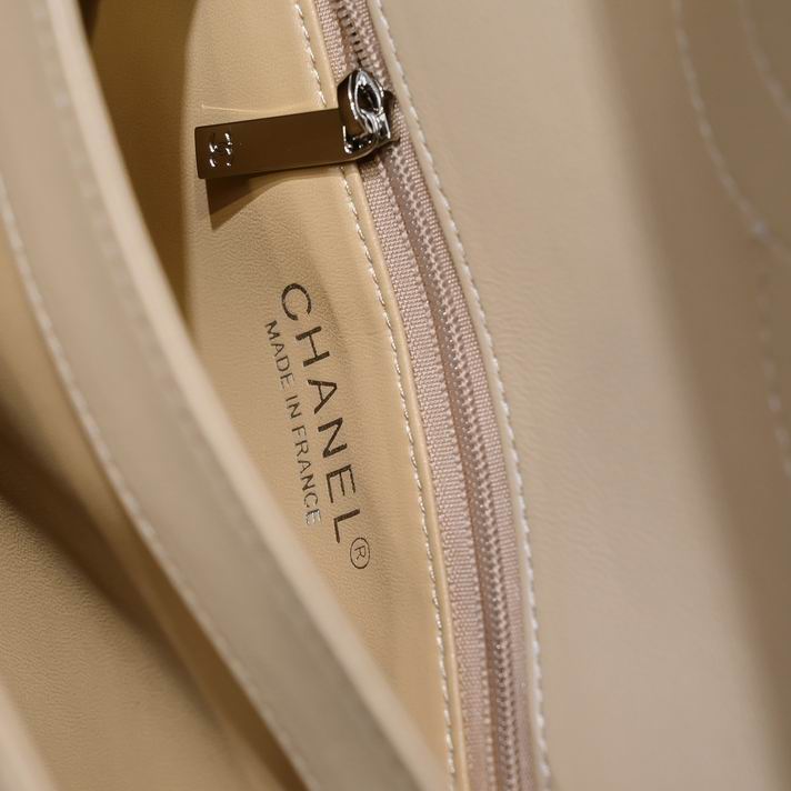 Chanel 19ss AS92236 25x12x17cm AL05 (9)