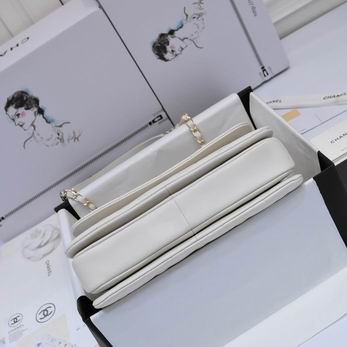 Chanel 19ss AS92236 25x12x17cm AL25 (4)