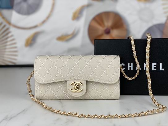 Chanel 50098 19x10x3.5cm zy (2)