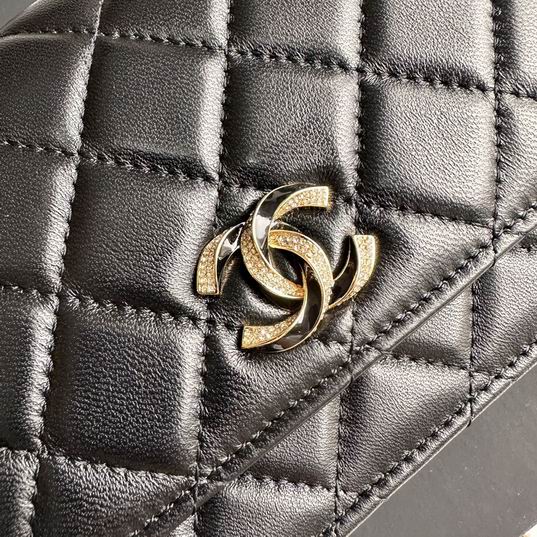 Chanel cf A33814 19cm zy (34)