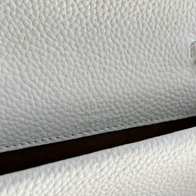 Dionysus 476432 16.5X10X4.5cm DF 3 (9)