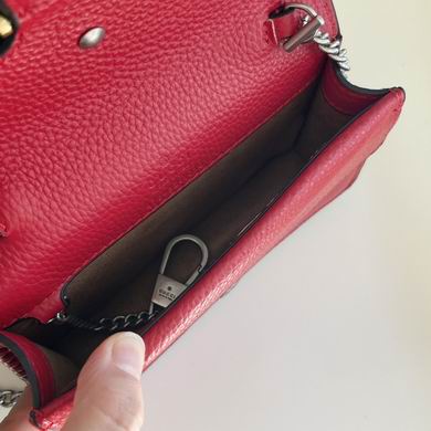 Dionysus 476432 16.5X10X4.5cm DF 4 (8)