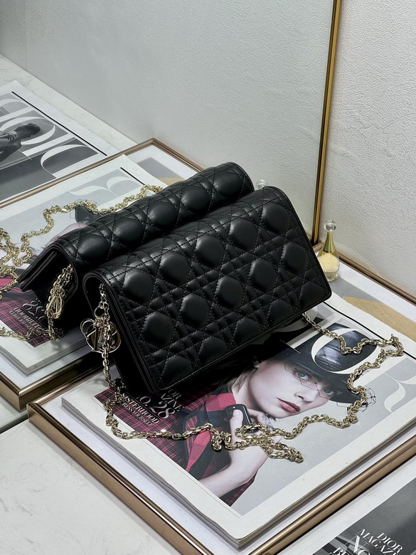 Dior 2133 22cm wz5_2