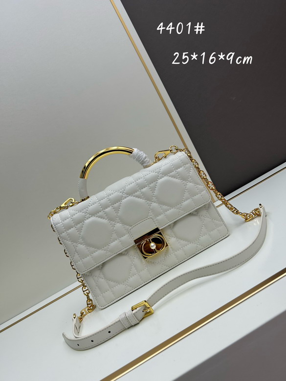 Dior 4401 25x16x9cm jj2_1