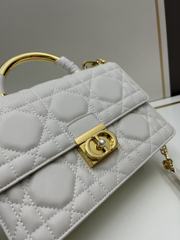 Dior 4401 25x16x9cm jj2_4