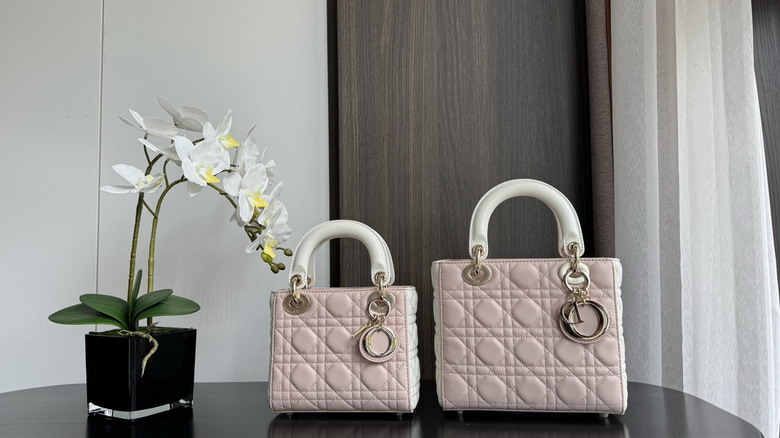 Dior 6603 17cm wz3_1