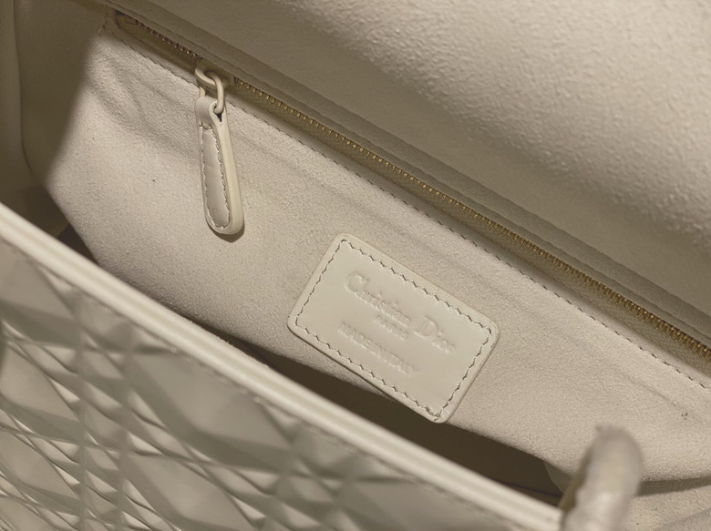 Dior 6605 24cm wz1_9