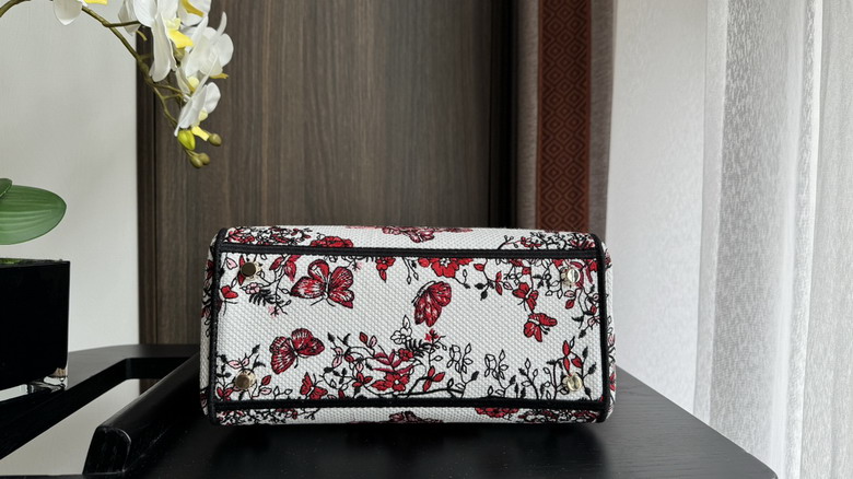 Dior 6605 24x20x11cm wz1_7