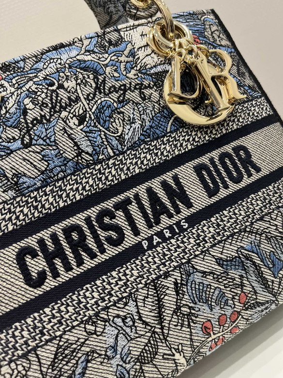 Dior 6605 24x20x11cm wz2_3