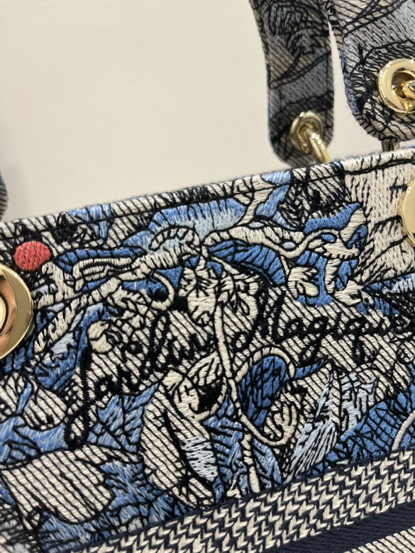 Dior 6605 24x20x11cm wz2_4