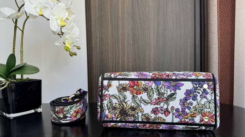 Dior 6605 24x20x11cm wz3_7