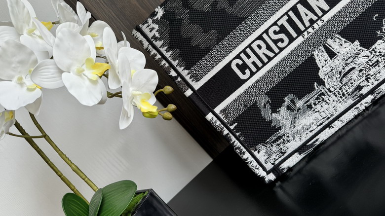 Dior 8001 36x18x28cm wz1_5