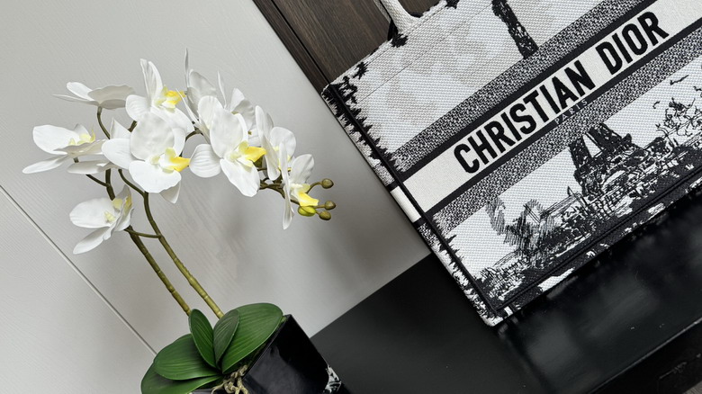 Dior 8001 36x18x28cm wz_6