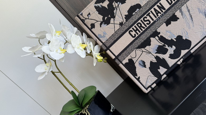 Dior 8001 41x35x18cm wz_5