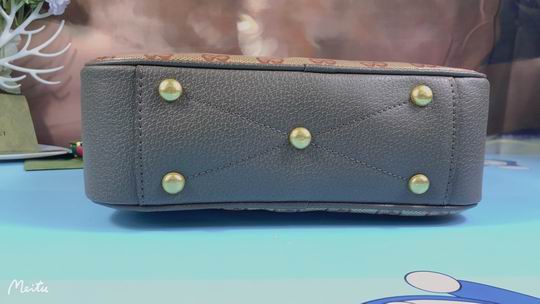 Gucci 24x16cm zy (4)