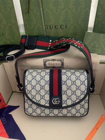 Gucci Ophidia 722117 23x17x7cm ww2色 (1)