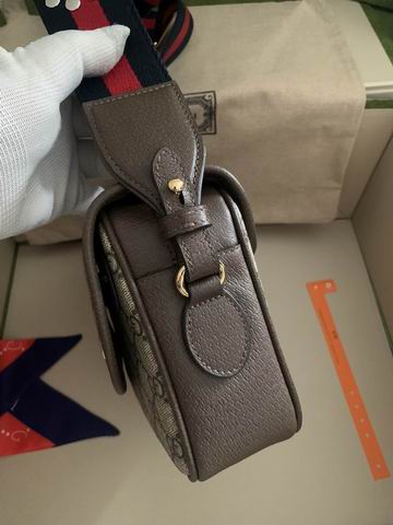 Gucci Ophidia 722117 23x17x7cm ww2色 (12)