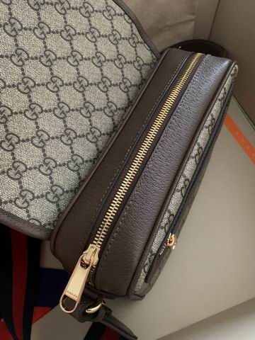 Gucci Ophidia 722117 23x17x7cm ww2色 (15)