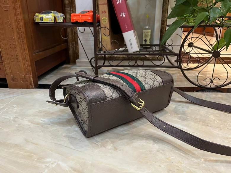 Ophidia 24X35X10.5cm 061206 DF (6)