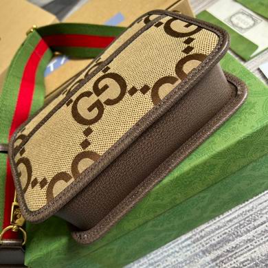 Ophidia 696075 22.5X14X7cm MP (5)