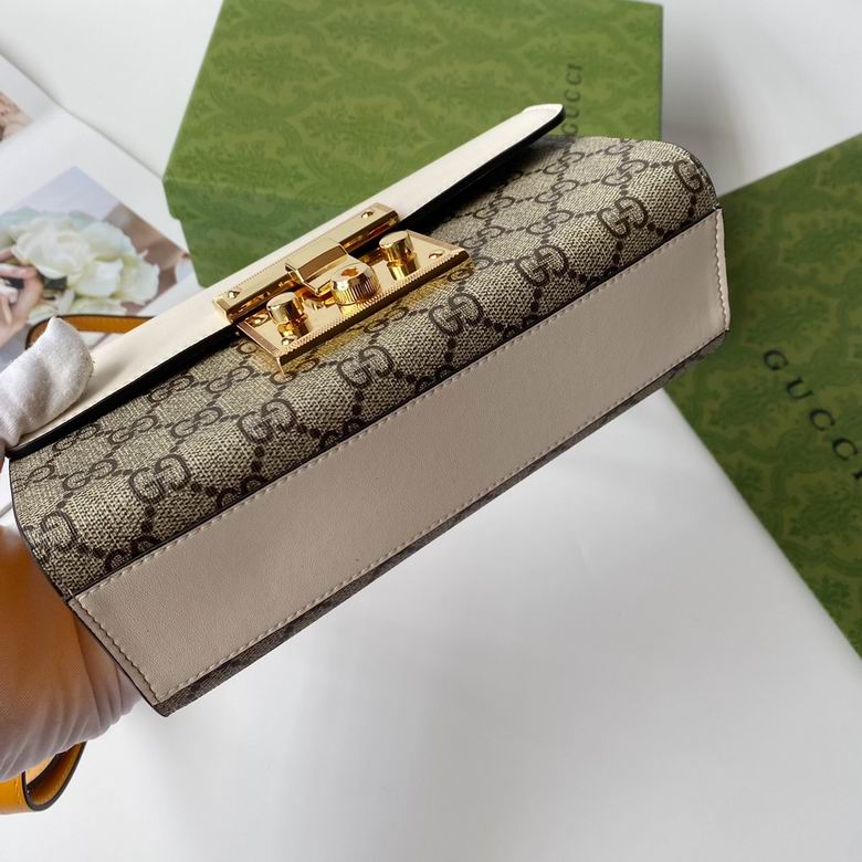 Padlock 735103 22X11.5X7.5cm DF (6)