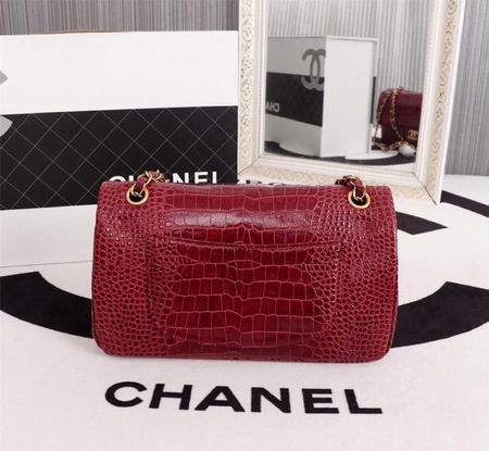 WO1112鳄鱼纹 (20)