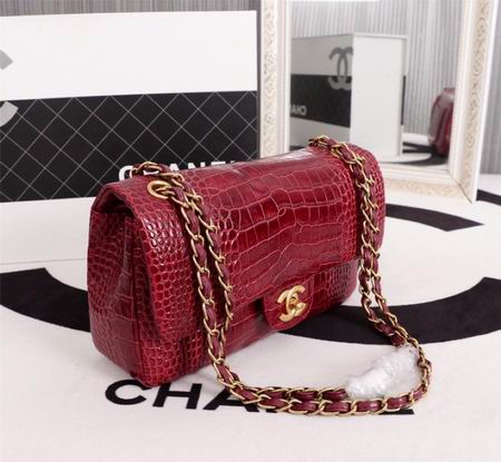 WO1112鳄鱼纹 (22)