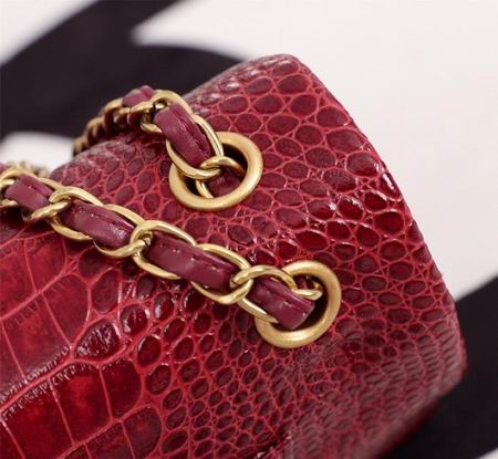 WO1112鳄鱼纹 (25)