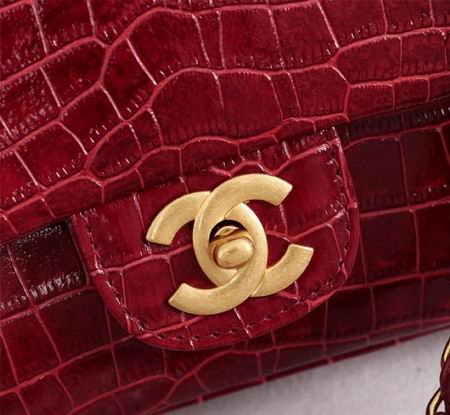 WO1112鳄鱼纹 (26)