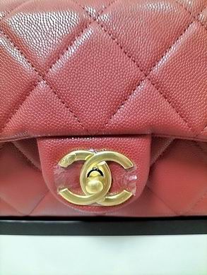 WO81135 19X13X6 (23)