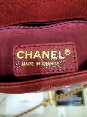 WO81135 19X13X6 (26)