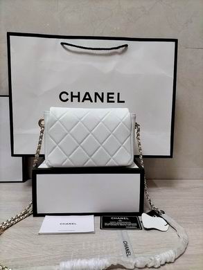 WO81135 19X13X6 (40)