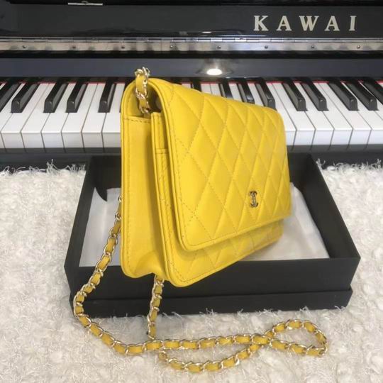 Wallet on chain 33814 19x12.5cm AL05 (2)