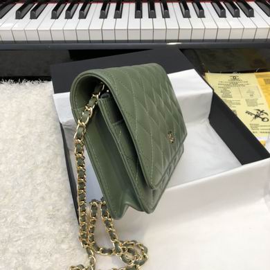 Wallet on chain 33814 19x12.5cm AL10 (3)