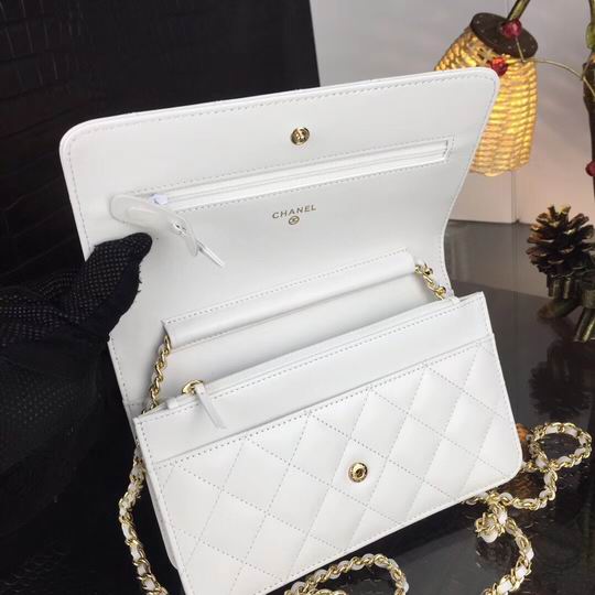 Wallet on chain 33814 19x12.5cm AL11 (8)