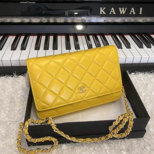 Wallet on chain 33814 19x12.5cm AL20 (1)