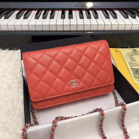 Wallet on chain 33814 19x12.5cm AL50 (1)