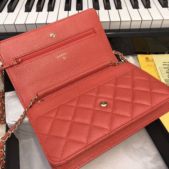 Wallet on chain 33814 19x12.5cm AL51 (5)