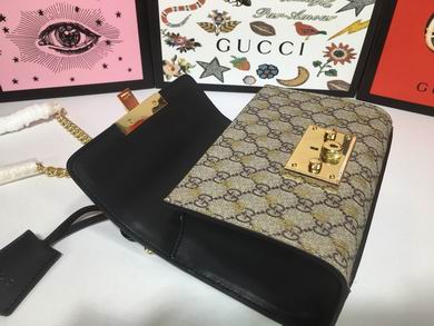 padlock 409487 20X12.5X8cm DF (7)