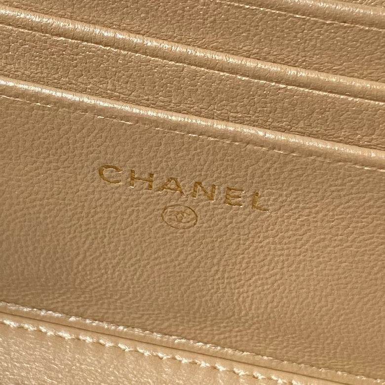 Ap3940 17cm BL 2色 16