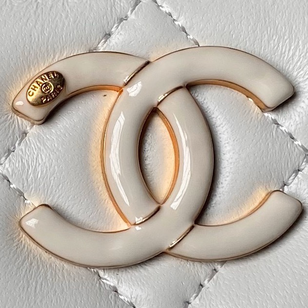 Ap3940 17cm BL 2色 2