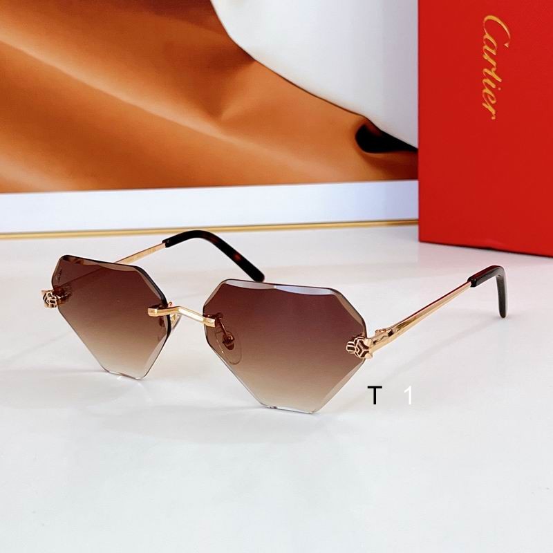 Cartier CT0399S 57 20-140 a