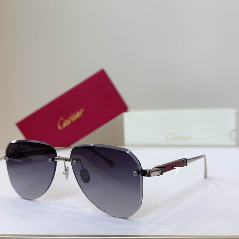 Cartier CT0509S 50 15-145 G