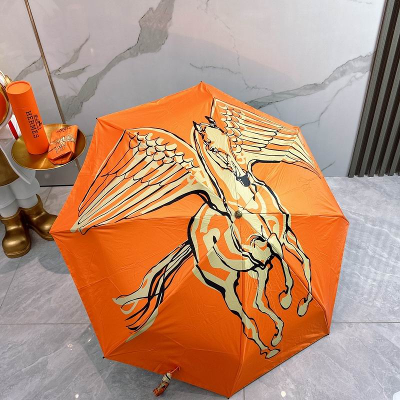 Hermes Umbrella 03